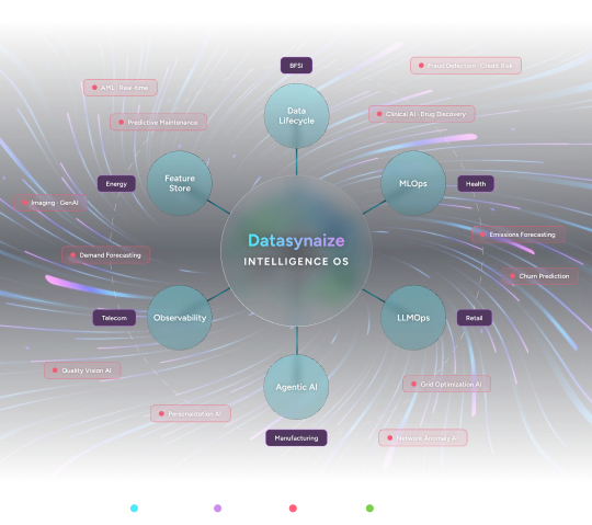 DataSynaize Intelligence OS capability graph